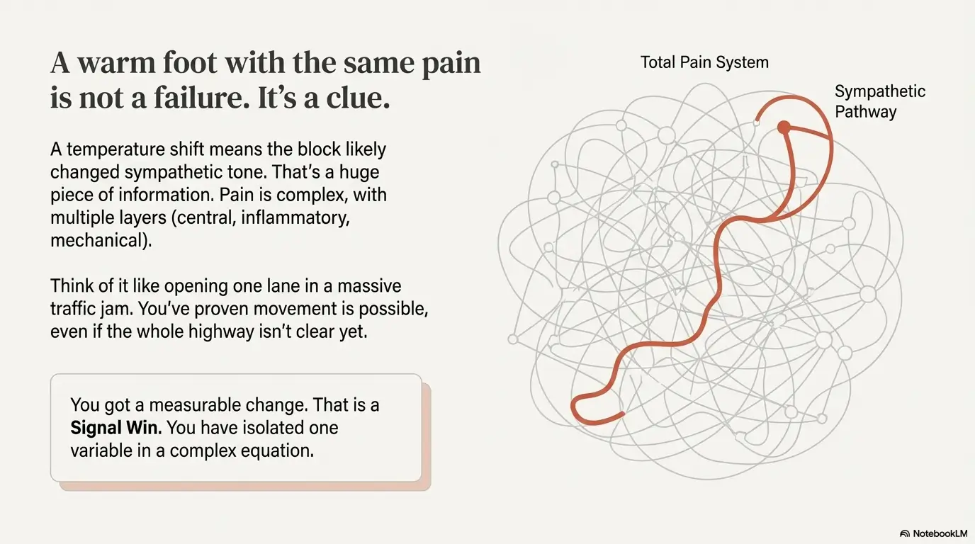 Lumbar Sympathetic Block for CRPS Leg