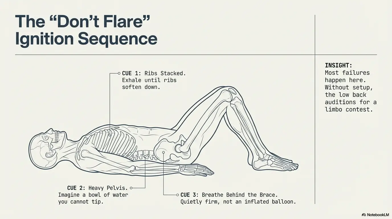 Dead Bug Progressions for Sciatica: Anti-Extension Core Without Planks (Beginner → Advanced) 4 dead bug exercise for sciatica