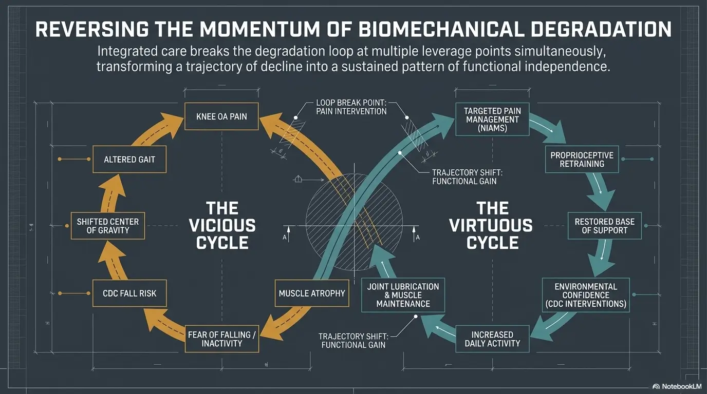 Knee Osteoarthritis Pain Management